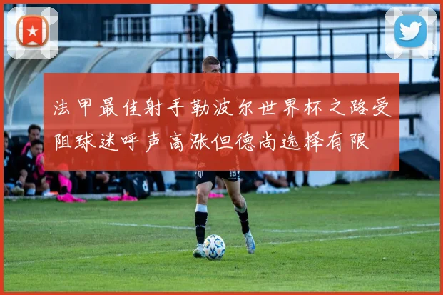 法甲最佳射手勒波尔世界杯之路受阻球迷呼声高涨但德尚选择有限
